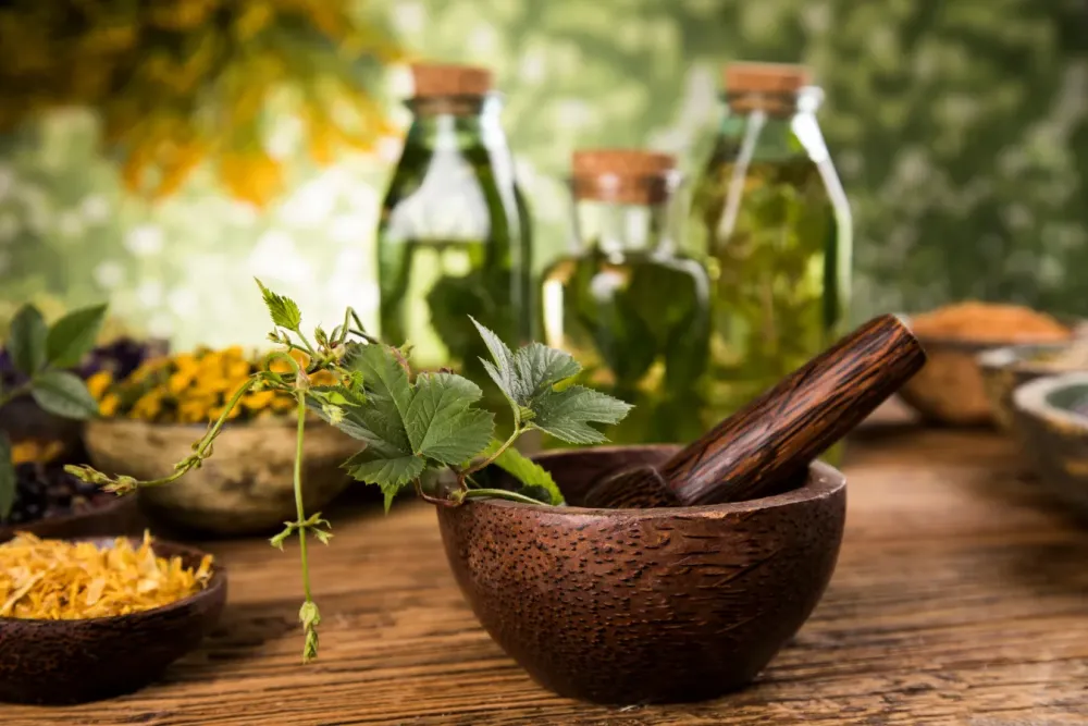 Naturopathe à Urt